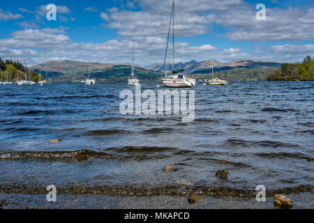 Segelboote auf Windermere, in der Nähe von claife Höhen, Windermere, Lake District, Cumbria Stockfoto