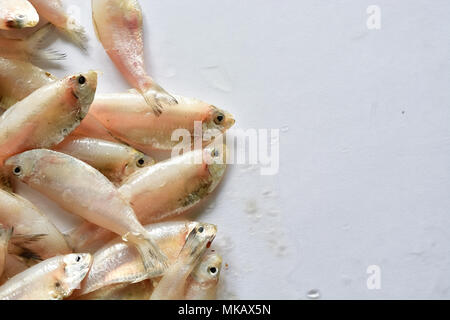 Frische Makrele Fisch am weißen Tisch Stapel Stockfoto