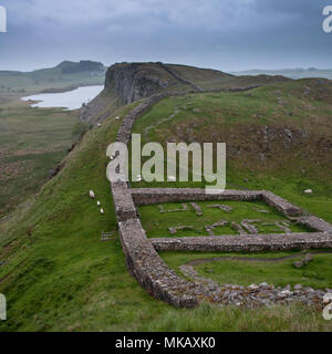 Schafe grasen unter den Ruinen von Milecastle 39, eine römische Festung auf Hadrian's Wall, der fronteir des Römischen Reiches auf Hügeln in Northumberland, Engla Stockfoto