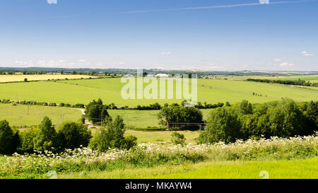 Landwirtschaftlich genutzten Feldern und Kreide Downland um die dünn besiedelten Tarrant Valley in Englands Dorset Downs Hügeln. Stockfoto