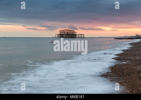 Einsame Schwimmer vor der West Pier, Brighton, East Sussex, Großbritannien während ein Juli Sonnenuntergang. Stockfoto