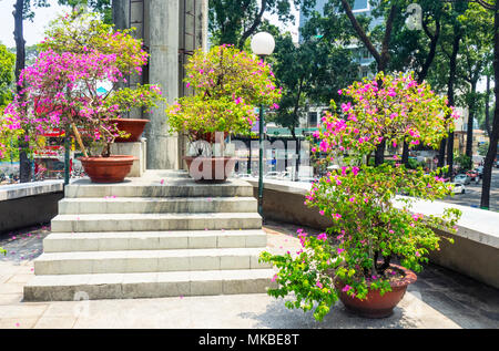 Blühende Topfpflanzen auf den Stufen in der Mitte von Turtle Lake, Ho Chi Minh City, Vietnam. Stockfoto