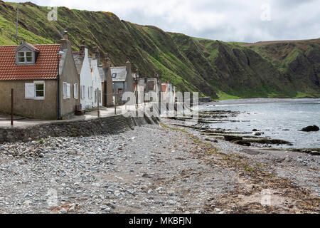 Ferienhäuser am Meer in dem Fischerdorf Crovie, Aberdeenshire, Schottland, Großbritannien Stockfoto