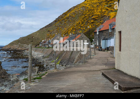 Ferienhäuser am Meer in dem Fischerdorf Crovie, Aberdeenshire, Schottland, Großbritannien Stockfoto