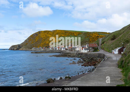 Ferienhäuser am Meer in dem Fischerdorf Crovie, Aberdeenshire, Schottland, Großbritannien Stockfoto