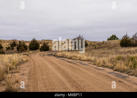 Sandweg durch Nebraska National Forest innerhalb der Nebraska Sandhills Region führende, USA Stockfoto