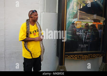 Hollywood Boulevard Stockfoto