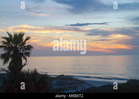 Blick auf eine farbenfrohe und friedliche Sonnenuntergang über dem Golf von Mexiko in Florida mit einem Silhouettiert Palme im Vordergrund, im Querformat. Stockfoto