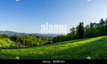 Deutschland, Extra großer XXL Panorama der schwarze Wald Natur Landschaft im Frühling Stockfoto