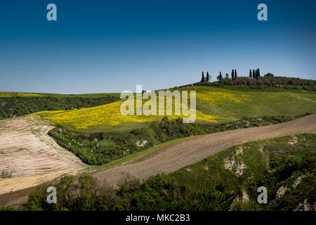 ASCIANO, Toskana, Italien - 25 April 2018: Trekking, Asciano mit Schluchten, Farmen in einer rauen Landschaft, in Serre di Rapolano, bekannt für die Trave angekommen Stockfoto