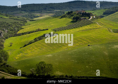 ASCIANO, Toskana, Italien - 25 April 2018: Trekking, Asciano mit Schluchten, Farmen in einer rauen Landschaft, in Serre di Rapolano, bekannt für die Trave angekommen Stockfoto