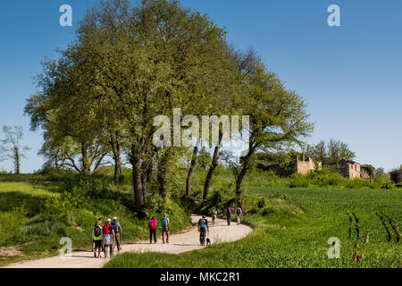 ASCIANO, Toskana, Italien - 25 April 2018: Trekking, Asciano mit Schluchten, Farmen in einer rauen Landschaft, in Serre di Rapolano, bekannt für die Trave angekommen Stockfoto
