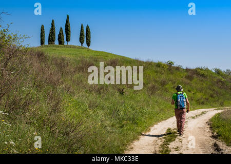 ASCIANO, Toskana, Italien - 25 April 2018: Trekking, Asciano mit Schluchten, Farmen in einer rauen Landschaft, in Serre di Rapolano, bekannt für die Trave angekommen Stockfoto