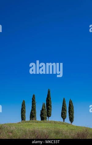 ASCIANO, Toskana, Italien - 25 April 2018: Trekking, Asciano mit Schluchten, Farmen in einer rauen Landschaft, in Serre di Rapolano, bekannt für die Trave angekommen Stockfoto