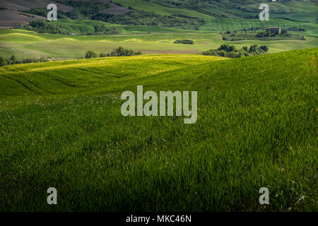 ASCIANO, Toskana, Italien - 25 April 2018: Trekking, Asciano mit Schluchten, Farmen in einer rauen Landschaft, in Serre di Rapolano, bekannt für die Trave angekommen Stockfoto