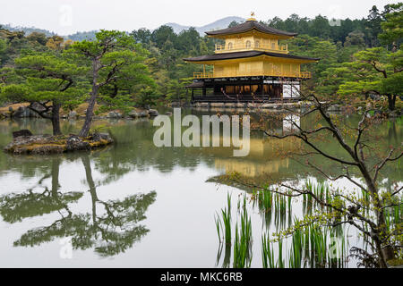 Die schöne Kinkaku-ji-Tempel in Kyoto, Japan, an einem regnerischen Tag Stockfoto