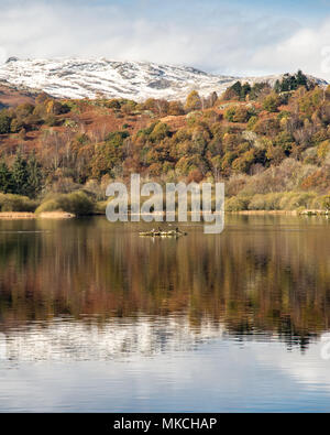 Bäume im Herbst Farben spiegeln sich in Rydal Wassersee, eingebettet unter schneebedeckten Bergen, im englischen Lake District National Park. Stockfoto