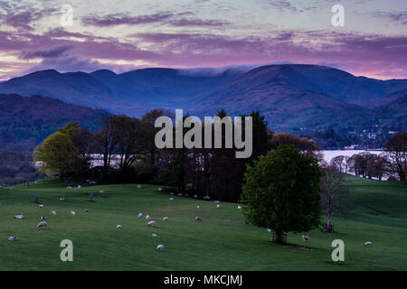 Die Aussicht auf Windermere in Richtung Ambleside Fells vom Dower House Bed & Breakfast Gardens in der Nähe von Wray Castle, Ambleside, Cumbria Stockfoto