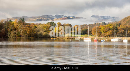 Nebel steigt aus Wald im Herbst Farbe in Ambleside auf Windermere See, unter den Bergen von Langdale in Englands Lake District National Park. Stockfoto