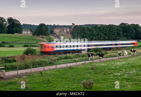 Sherborne, England, Großbritannien - 20 August 2012: South West Trains Class 159 Passagier Zug fährt vorbei an den Ruinen von Sherborne Castle und Felder der Kühe Stockfoto