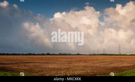 Pylone marschieren über Ackerland in Frome Valley, Dorset, bei Sonnenaufgang. Stockfoto