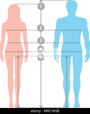 Silhuettes von Mann und Frau in voller Länge mit Messung der Körper Parameter. Mann und Frauen größen Messungen. Vektor cartoon Illustra Stock Vektor