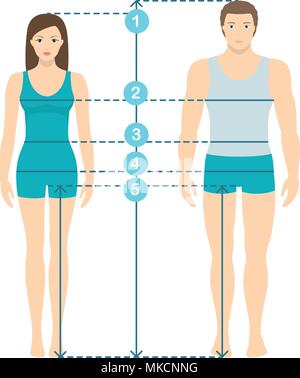 Vector Illustration von Mann und Frau in voller Länge mit Messung der Körper Parameter. Mann und Frauen größen Messungen. Menschliche Körper measureme Stock Vektor