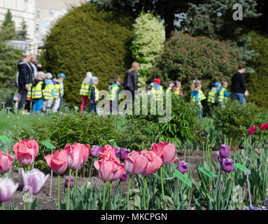 Rosa Tulpen gegen die Gruppe der Kinder mit Lehrern in den Botanischen Garten. Kinder sind Blumen des Lebens. Stockfoto