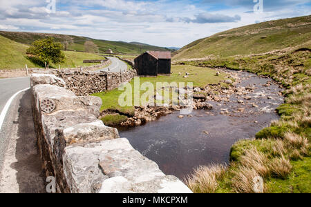 Schafe grasen, in den Körnern o'th'Beck Wiesen, am Ufer des Flusses Lune im Teesdale Bezirk Land Durham, unter den Hügeln von England's North Pe Stockfoto