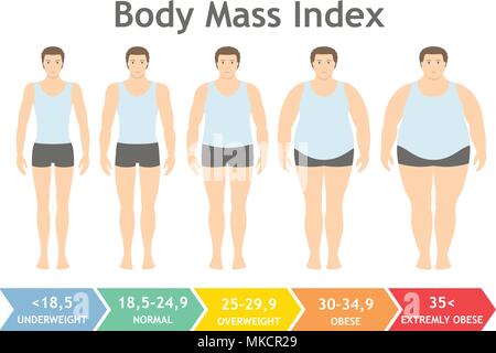 Body Mass index Vector Illustration von Untergewicht bis extrem im flachen Stil beleibt. Mann mit verschiedenen Adipositas Grad. Männliche Körper mit verschiedenen Wir Stock Vektor