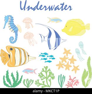 Satz von Unterwasser Design Elemente. Meer Fisch. Vektor Design Elemente: Meer Fischen, Korallen und Algen. Unter Wasser gesetzt. Sea Life Design Elemente. Stock Vektor