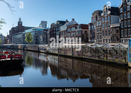 Blumenmarkt in Amsterdam Stockfoto