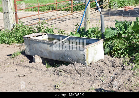 Eine Viehtränke auf einem Bauernhof Buckinghamshire, Großbritannien Stockfoto