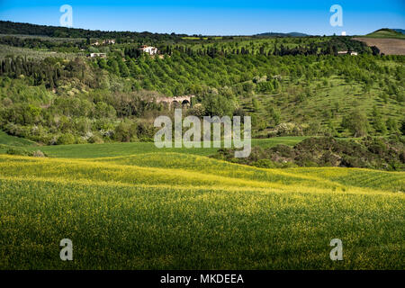 ASCIANO, Toskana, Italien - 25 April 2018: Trekking, Asciano mit Schluchten, Farmen in einer rauen Landschaft, in Serre di Rapolano, bekannt für die Trave angekommen Stockfoto