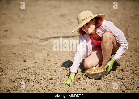 Bauer Frau einpflanzen Schnittlauch Zwiebeln in Ihrem Garten Stockfoto