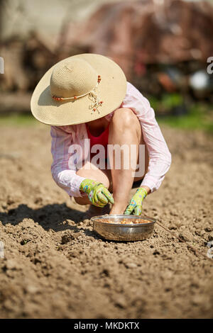 Bauer Frau einpflanzen Schnittlauch Zwiebeln in Ihrem Garten Stockfoto