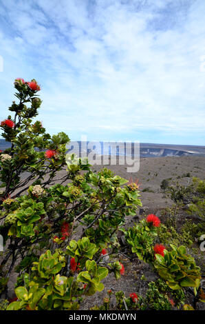 Kilauea Krater Big Island Hawaii Volcanoes National Park. Stockfoto