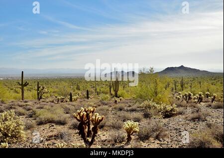 San Tan Mountain Regional Park ist über 10.000 Hektar in den unteren Sonoran Wüste. Wunderschöne Wege zum Wandern, Radfahren und Reiten. Stockfoto