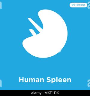 Die Milz vektor Symbol auf blauem Hintergrund, Zeichen und Symbol isoliert Stock Vektor
