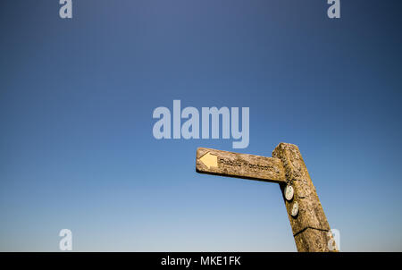 Öffentlichen Fußweg zum Trundle, ein Bügeleisen Alter Hill fort, auf der South Downs National Park, in der Nähe von Goodwood Estate in Chichester, West Sussex, Großbritannien Stockfoto