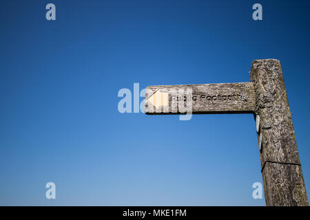 Öffentlichen Fußweg zum Trundle, ein Bügeleisen Alter Hill fort, auf der South Downs National Park, in der Nähe von Goodwood Estate in Chichester, West Sussex, Großbritannien Stockfoto