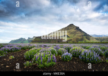 Typische Island Landschaft mit Bergen Stockfoto