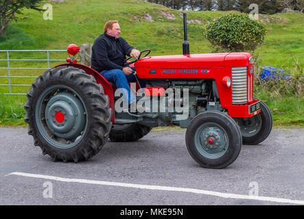 Massey Ferguson 65 Traktor in leuchtend roten Lackierung an einem Traktor Oldtimer Rallye. Stockfoto