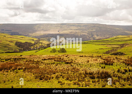 Ein Blick auf die Yorkshire Dales, in der Nähe von Buckden Hecht, grüne Felder und Heidekraut Hügeln im Hintergrund Stockfoto