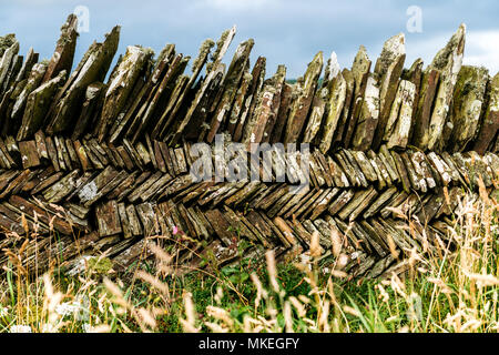 Cornwall Wand aus Schiefer Stockfoto