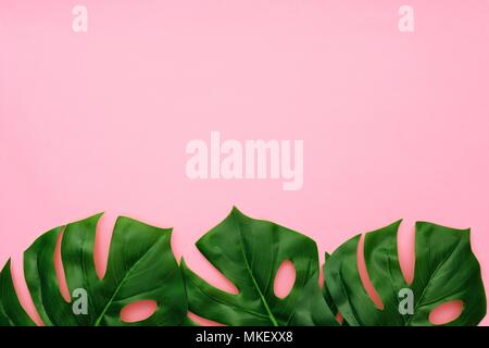 Von tropischen Palmen Blätter auf einem rosa Hintergrund. Untere Grenze. Minimaler Natur. Flach. Ansicht von oben. Stockfoto