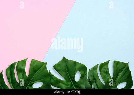 Von tropischen Palmen Blätter auf einem Pastell rosa und blauen Hintergrund. Untere Grenze. Minimaler Natur. Flach. Ansicht von oben. Stockfoto