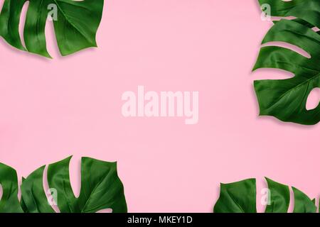 Von tropischen Palmen Blätter auf einem rosa Hintergrund. Rahmen. Minimaler Natur. Flach. Ansicht von oben. Stockfoto