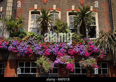 Bunte überhängenden Blumenkästen in London City Centre Stockfoto