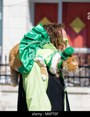 Aman mit einer Katze in Smaragd Grün gekleidet saß in seiner Schulter in der St. Patrick's Day Parade in Montreal Stockfoto